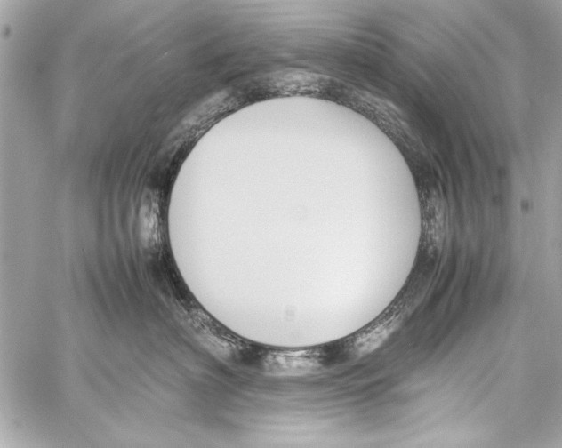 X0000057060622200510071408