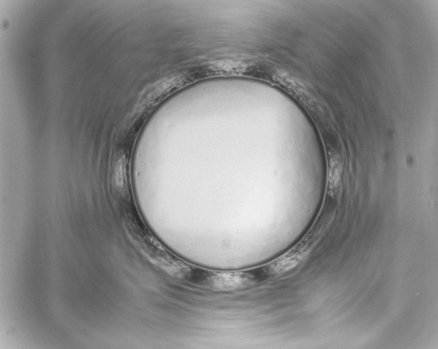 X0000057060623200510071408