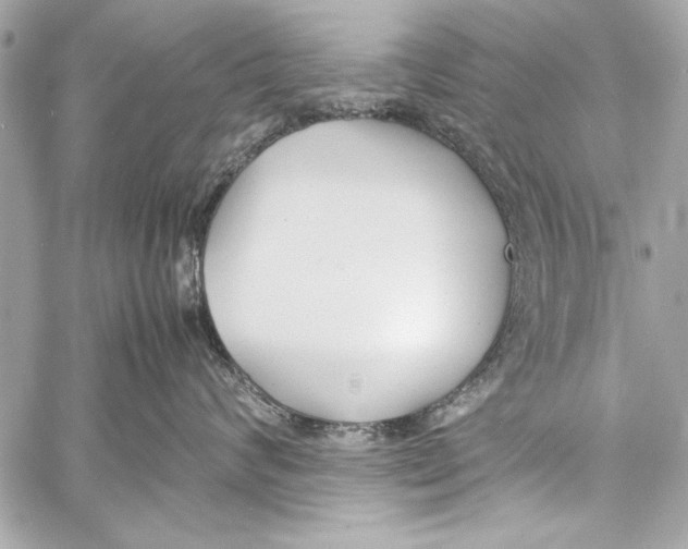 X0000057060624200510071408