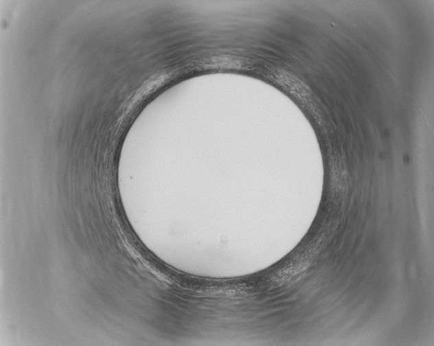 X0000057060625200510071407