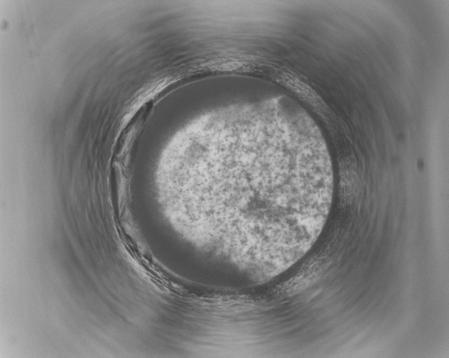 X0000057060626200510071407