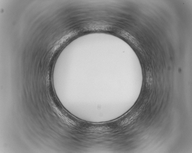 X0000057060629200510071407