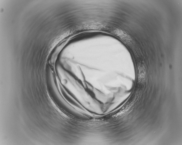 X0000057060630200510071407