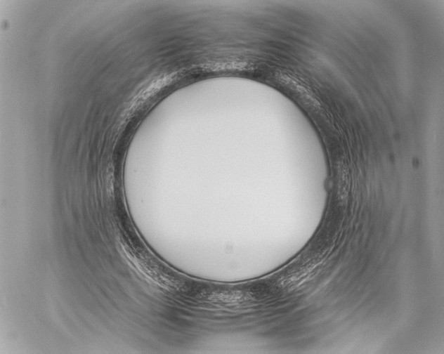 X0000057060631200510071407