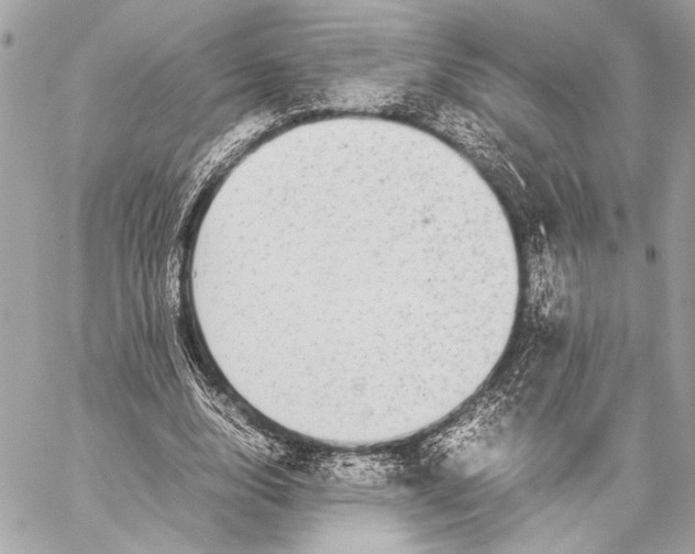 X0000057060632200510071407