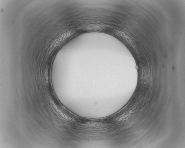 X0000057060633200510071407