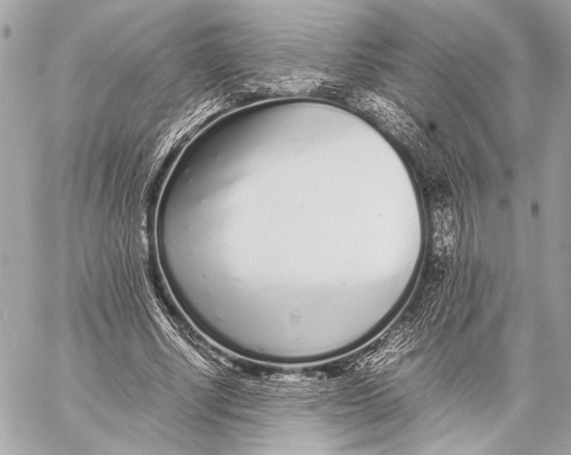 X0000057060634200510071407