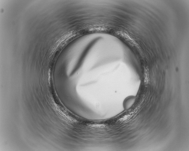 X0000057060637200510071407