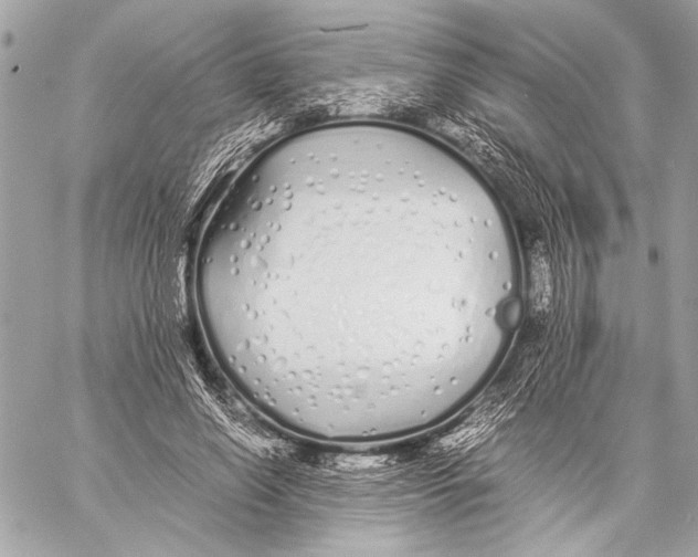 X0000057060638200510071407