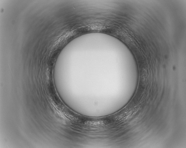 X0000057060639200510071407