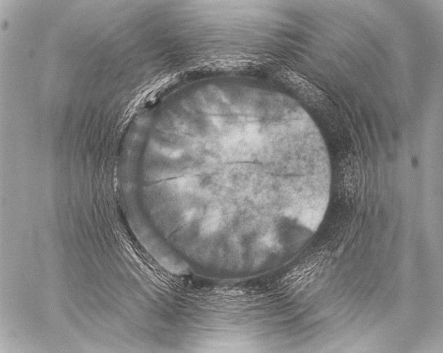 X0000057060640200510071407