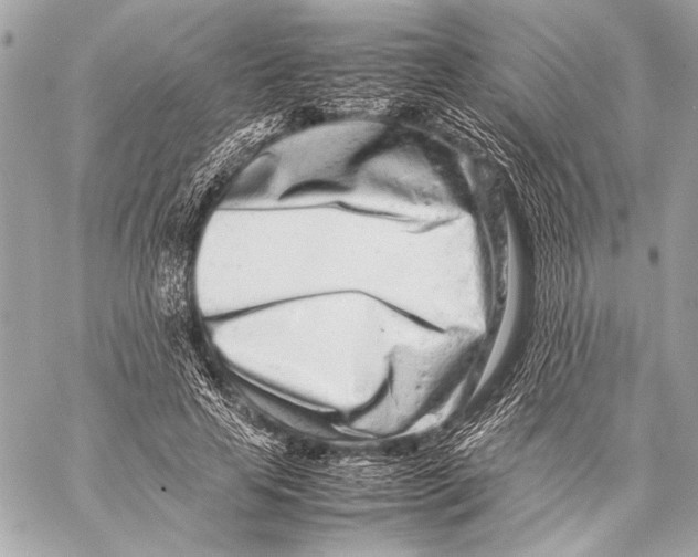 X0000057060641200510071407