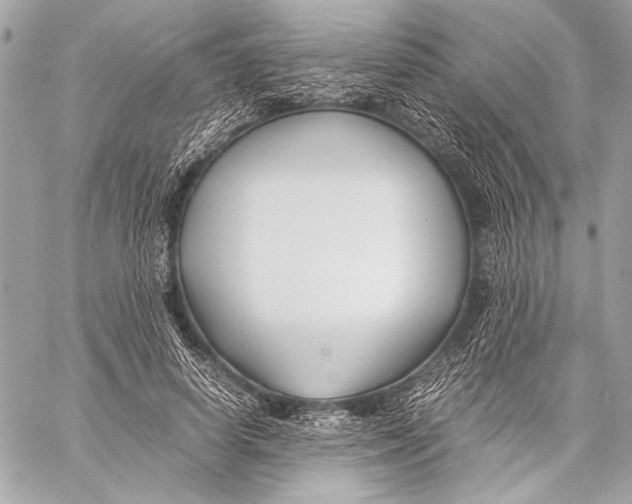 X0000057060642200510071407