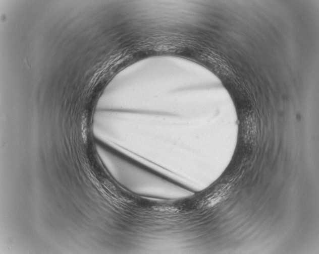 X0000057060644200510071407