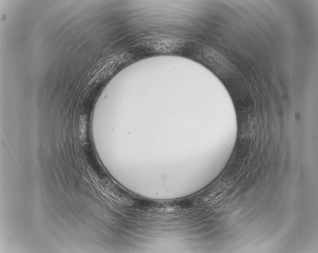 X0000057060646200510071408