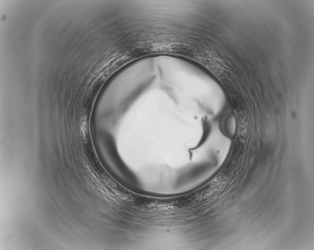 X0000057060648200510071408