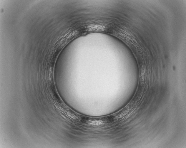 X0000057060649200510071408