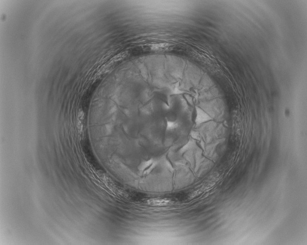 X0000057060650200510071408