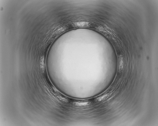 X0000057060651200510071408