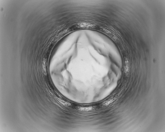 X0000057060653200510071408