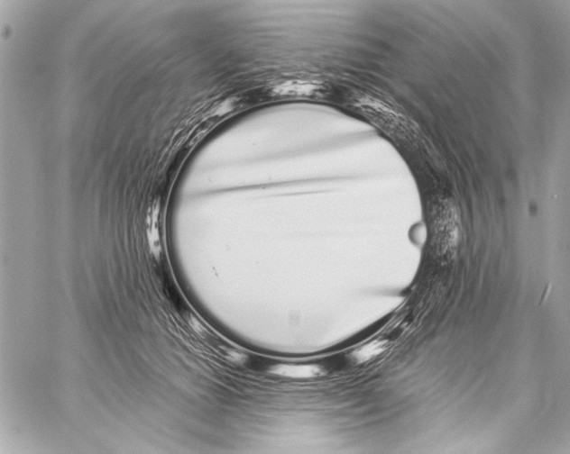 X0000057060654200510071408