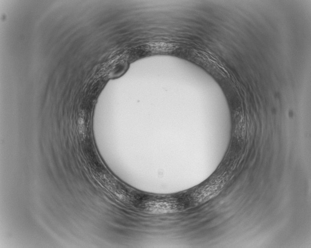 X0000057060655200510071408