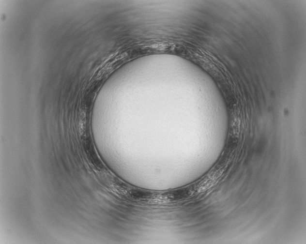 X0000057060656200510071408