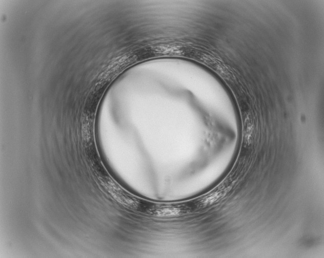 X0000057060658200510071408