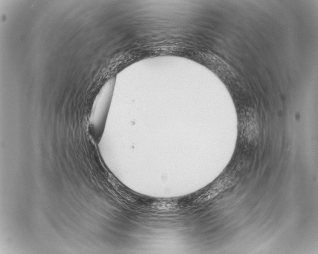 X0000057060660200510071408