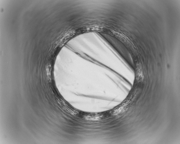 X0000057060661200510071408