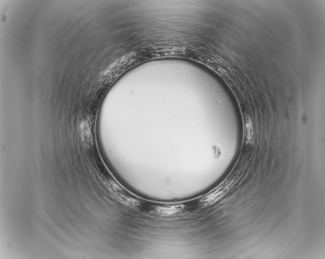 X0000057060662200510071408