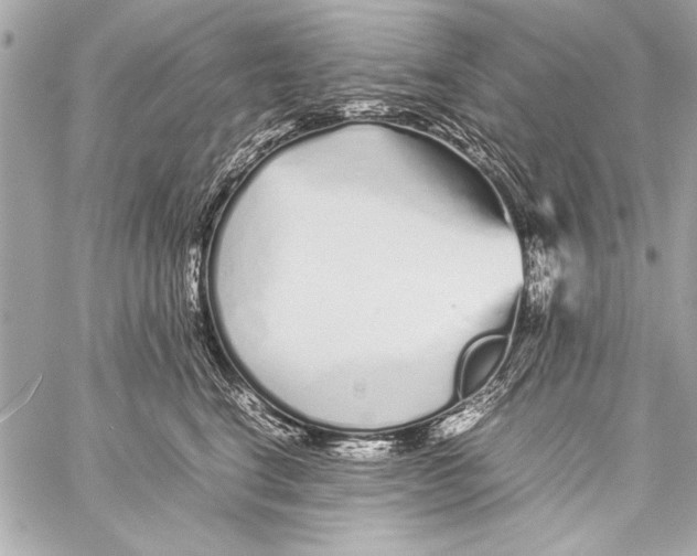 X0000057060664200510071408