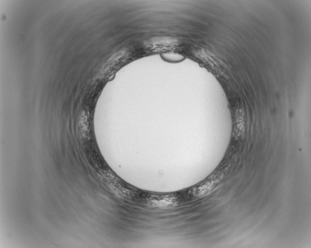 X0000057060667200510071408