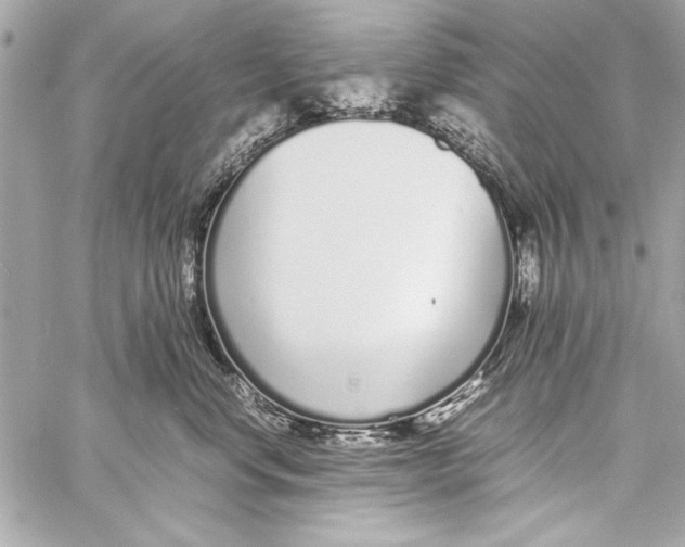 X0000057060668200510071408