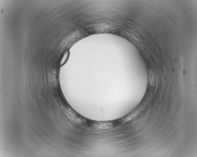 X0000057060670200510071408