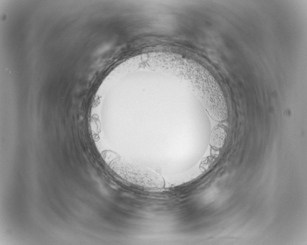 X0000057060672200510071408