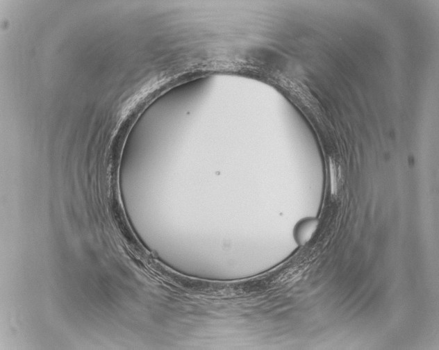 X0000057060675200510071407