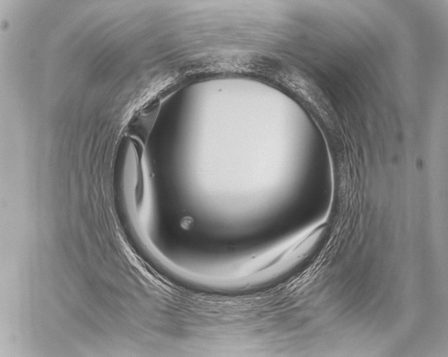 X0000057060677200510071407