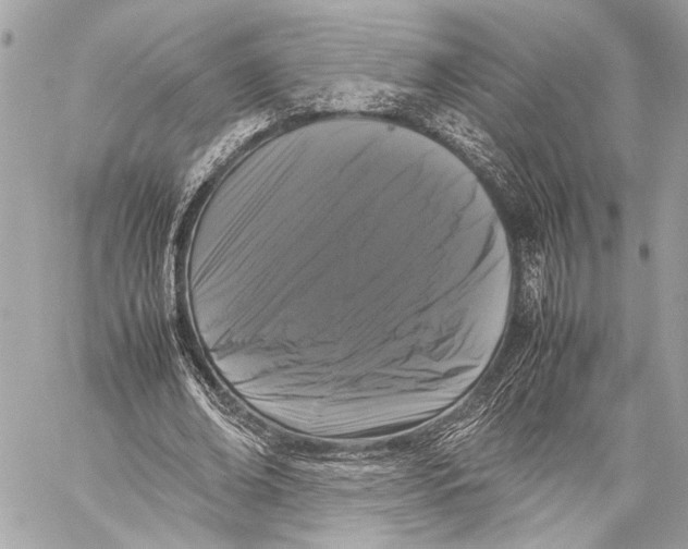 X0000057060678200510071407