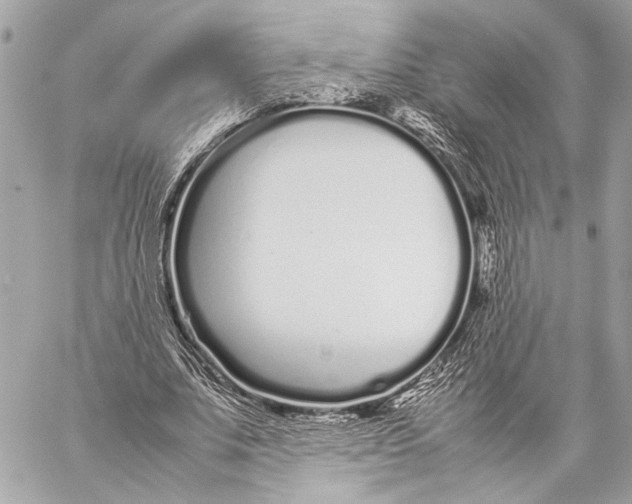 X0000057060679200510071407