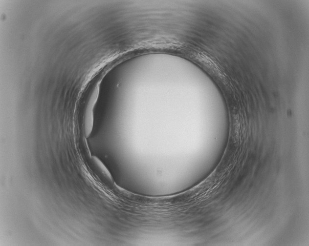 X0000057060680200510071407