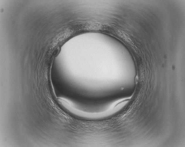 X0000057060681200510071407