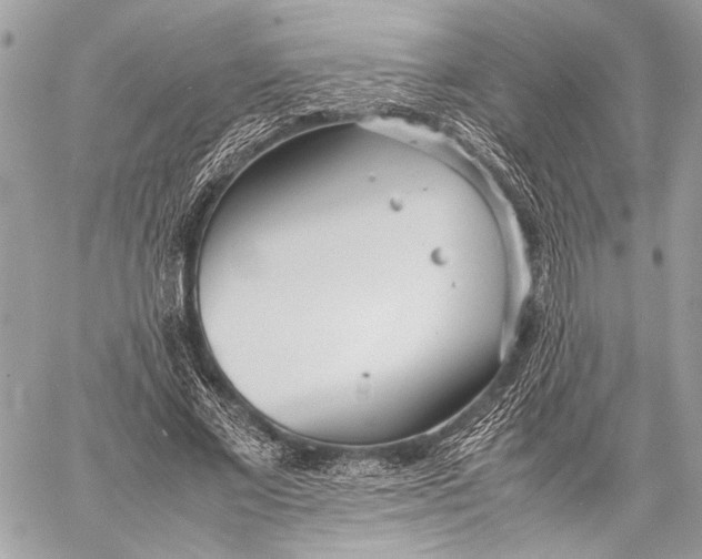 X0000057060685200510071407