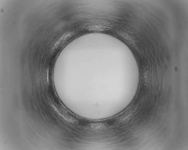 X0000057060686200510071407