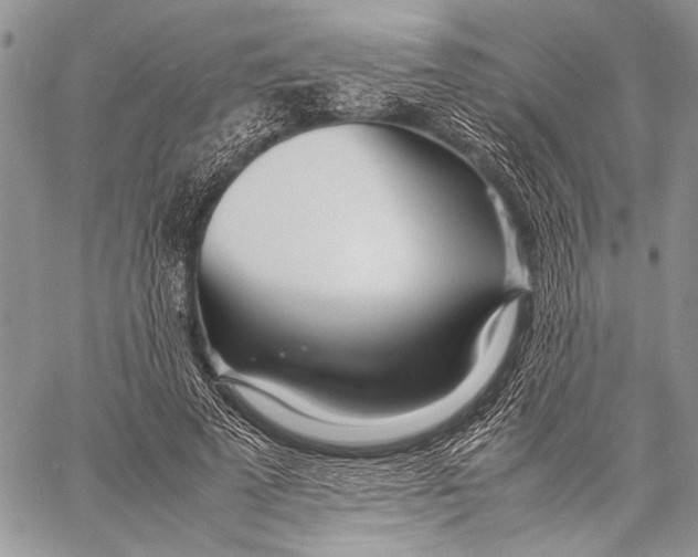 X0000057060689200510071407