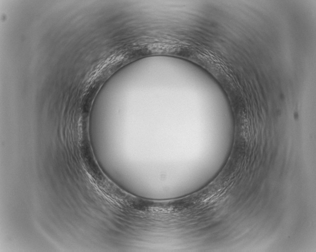 X0000057060690200510071407