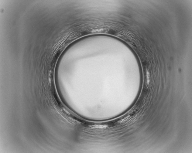 X0000057060691200510071407