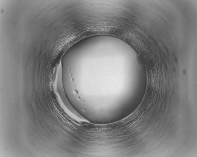 X0000057060692200510071407