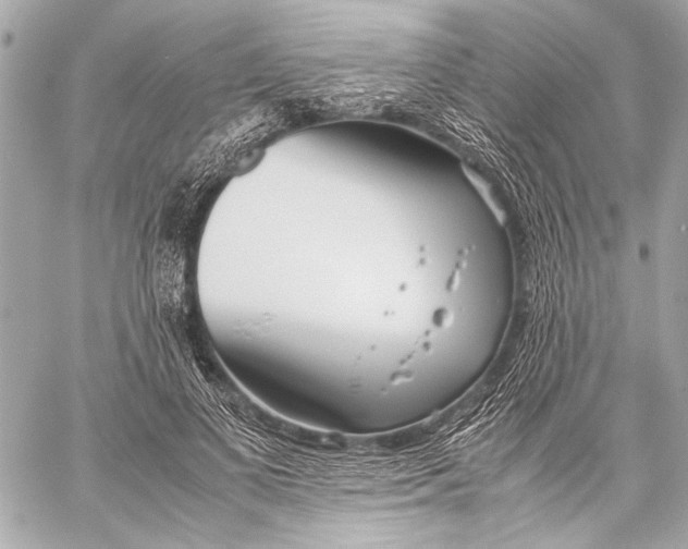 X0000057060693200510071407