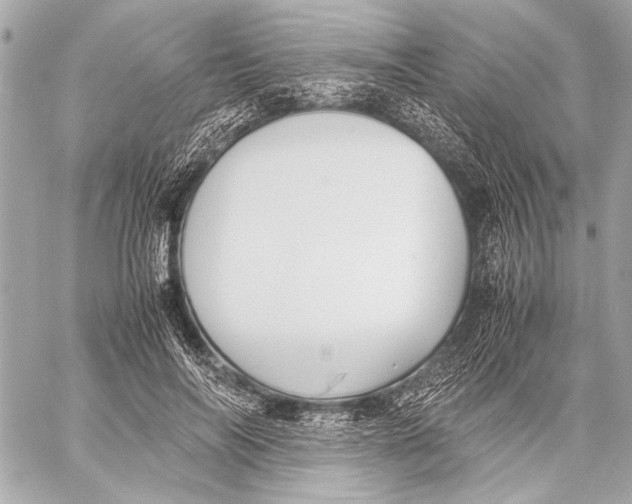 X0000057060694200510071407